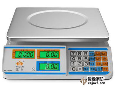 电子秤30kg.jpg